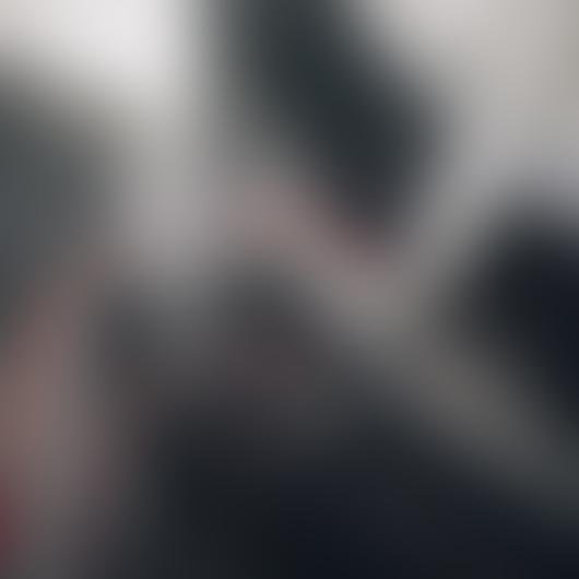 Europe Netherlands Italy Spain pulse import